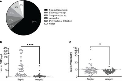 C9 immunostaining as a tissue biomarker for periprosthetic joint infection diagnosis